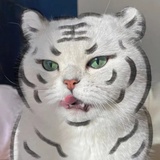 我可能是🐠