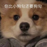 你比狗勾还狗勾