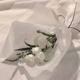 红蓝柚子