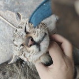 哈哈