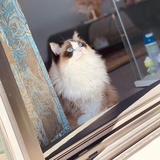 Lilly