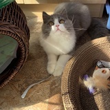 途中