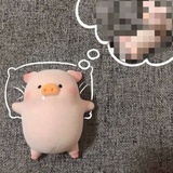 一只小龟