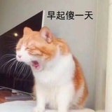 麻辣火锅