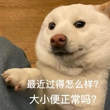v5v