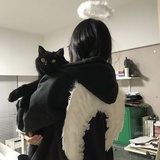 月球背面软着陆