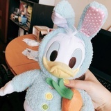 知白