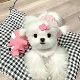 。