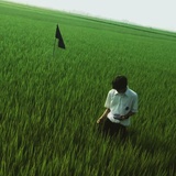 blackcyc