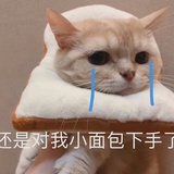 嘟嘟2021
