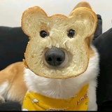 卡布奇诺