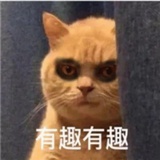 搞的都是真的