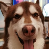 来者犹可追