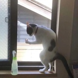 颜颜耶