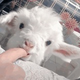 漂亮就行