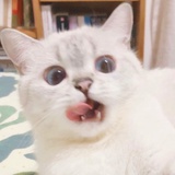 今日上上签