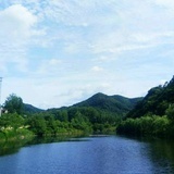 莫莫