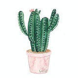 一颗仙人掌🌵