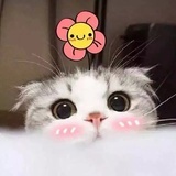 几点钟