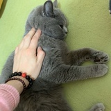 choco