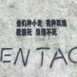 大风车呼呼转