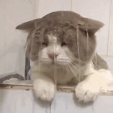 小贱简←_←