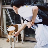 路人甲