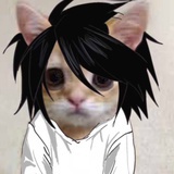 Taoz