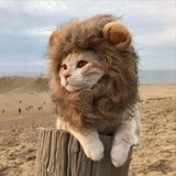 极光