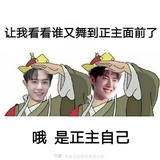王甜甜
