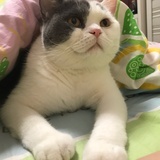 跟384眉来眼去