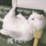 贤鱼