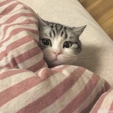 豆友201656539