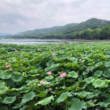 居家小涵