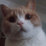 啊哈