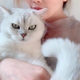 豆豆