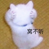 我的饭呢
