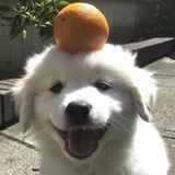 高德地图