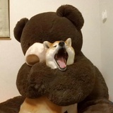 暴雨将至