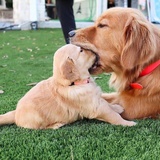 起个像人的名字