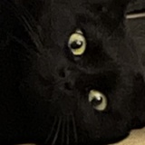 俊俊juju