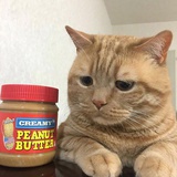 瘦得吓人