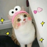 Johnson妈咪