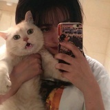 芦苇南南