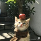 不知道改什么名