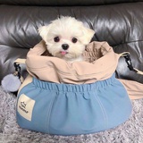 呼噜娃