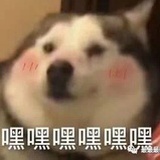 吃吃瓜喝喝酒