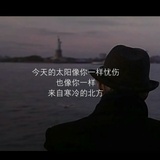 东街的狗