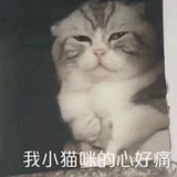 已注销