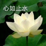 越挫越勇的烤鸭